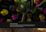 do premium 3d product animation and highend commercial